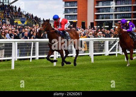 Newbury, Regno Unito. 20 aprile 2024. Esquire, guidato da Daniel Tudhope (Blue Cap), tira fuori Zoum Zoum, guidato da Rob Hornby (Purple Cap) per vincere la Greenham Stakes 2,40 all'ippodromo di Newbury, Regno Unito. Crediti: Paul Blake/Alamy Live News. Foto Stock