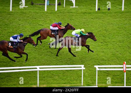 Newbury, Regno Unito. 20 aprile 2024. Metal Merchant, guidato da David Probert (berretto giallo), vince la OLBG Spring Cup handicap Stakes 3,15, davanti a Godwinson e Talis Evolvere, all'ippodromo di Newbury, Regno Unito. Crediti: Paul Blake/Alamy Live News. Foto Stock