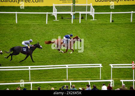 Newbury, Regno Unito. 20 aprile 2024. Economics, guidato da Tom Marquand (cappellino blu) vince il Dubai Duty Free Tennis Championships 3,50 "Confined" Maiden Stakes all'ippodromo di Newbury, Regno Unito. Crediti: Paul Blake/Alamy Live News. Foto Stock