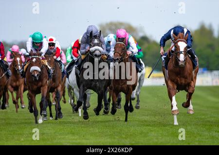 Newbury Races, Regno Unito. 20 aprile 2024. Economics e Tom Marquand vincono il Dubai Duty Free Tennis Championships "Confined" Maiden Stakes per l'allenatore William Haggas e la proprietaria Isa Salman al Khalifa. Crediti JTW equine Images / Alamy Live News Foto Stock