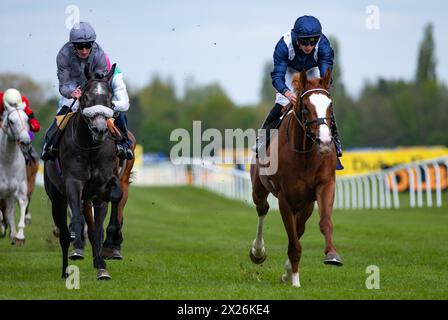 Newbury Races, Regno Unito. 20 aprile 2024. Economics e Tom Marquand vincono il Dubai Duty Free Tennis Championships "Confined" Maiden Stakes per l'allenatore William Haggas e la proprietaria Isa Salman al Khalifa. Crediti JTW equine Images / Alamy Live News Foto Stock