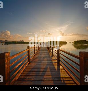 Ritratto di bellezza asiatica Foto Stock