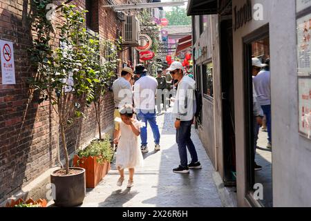 Passeggiando attraverso il quartiere restaurato di Tianzifang, la gente cammina attraverso un vicolo acciottolato con piante lungo la strada, Shanghai, Cina Foto Stock