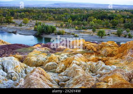 Ritratto di bellezza asiatica Foto Stock