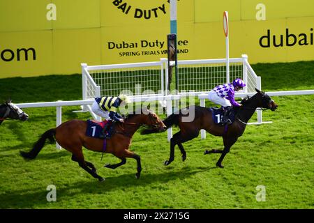 Newbury, Regno Unito. 20 aprile 2024. Qaasid, guidato da Ryan Sexton, vince il Dubai Duty Free Millenium Millionaire handicap Stakes 5,00 presso l'ippodromo di Newbury, Regno Unito. Crediti: Paul Blake/Alamy Live News. Foto Stock