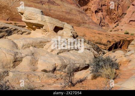 La Valle del Fuoco, Nevada. Formazione di roccia, Rainbow Vista Viewpoint. Foto Stock