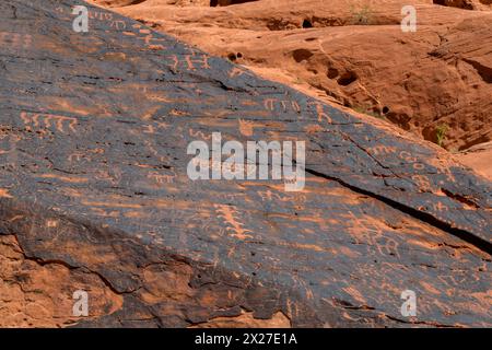 La Valle del Fuoco, Nevada. Petroglifi indiani sulla vernice del deserto, Mouse serbatoio del Trail. Foto Stock