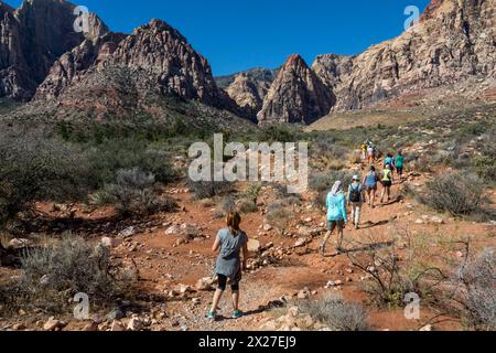 Il Red Rock Canyon, Nevada. Gli escursionisti su Pine Creek Canyon Trail. Mescalito Montagna (con parte superiore rossa) al centro dello sfondo. Foto Stock
