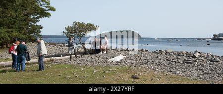 Turisti che scattano foto a Bar Island con Bar Harbor e Frenchman's Bay sullo sfondo. Panoramica Mount dessert Island, Maine, Stati Uniti Foto Stock