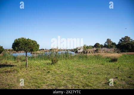 Happy Earth Day, guarire il pianeta Terra, Delta del Llobregat a Barcellona, Spagna, sostenibilità, conservazione dell'ambiente, protezione della biodiversità Foto Stock