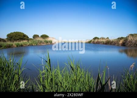 Happy Earth Day, guarire il pianeta Terra, Delta del Llobregat a Barcellona, Spagna, sostenibilità, conservazione dell'ambiente, protezione della biodiversità Foto Stock