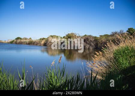 Happy Earth Day, guarire il pianeta Terra, Delta del Llobregat a Barcellona, Spagna, sostenibilità, conservazione dell'ambiente, protezione della biodiversità Foto Stock