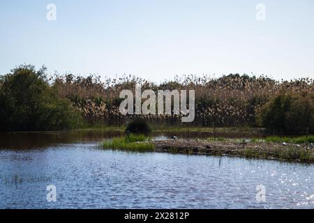 Happy Earth Day, guarire il pianeta Terra, Delta del Llobregat a Barcellona, Spagna, sostenibilità, conservazione dell'ambiente, protezione della biodiversità Foto Stock