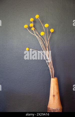 Steli di fiori gialli secchi in vaso di legno contro parete grigia Foto Stock