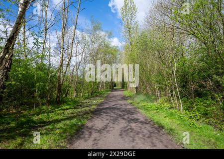 Percorso attraverso i boschi vicino al giardino botanico Fletcher Moss a Didsbury, nella zona sud di Manchester, in un giorno di primavera soleggiato. Foto Stock