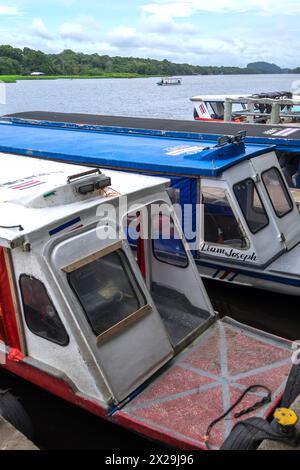 Barche per il trasporto fluviale nel porto di Tortuguero in Costa Rica Foto Stock