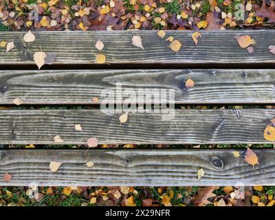 Panca autunnale - le spranghe di una panchina di legno Foto Stock