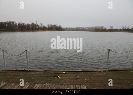 Molo rustico sullo sfondo del lago e della foresta con il tempo nuvoloso. Foto Stock