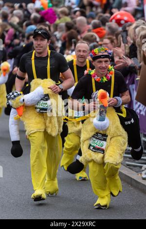 Tower Hill, Londra, Regno Unito. 21 aprile 2024. Circa 50.000 persone partecipano alla maratona TCS di Londra del 2024, tra cui i migliori runner e gli atleti in sedia a rotelle del mondo. Le masse di corridori del club e del divertimento li seguono, con molti che raccolgono grandi somme per beneficenza e spesso corrono in abiti eleganti e puntano al Guinness dei primati per varie classi. Corridori che indossano costumi emu Foto Stock