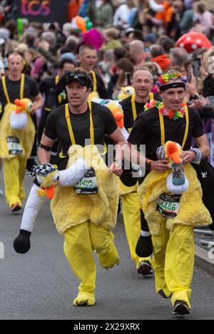 Tower Hill, Londra, Regno Unito. 21 aprile 2024. Circa 50.000 persone partecipano alla maratona TCS di Londra del 2024, tra cui i migliori runner e gli atleti in sedia a rotelle del mondo. Le masse di corridori del club e del divertimento li seguono, con molti che raccolgono grandi somme per beneficenza e spesso corrono in abiti eleganti e puntano al Guinness dei primati per varie classi. Corridori che indossano costumi emu Foto Stock