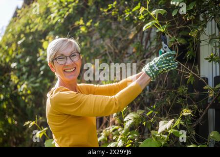 Felice donna anziana di giardinaggio. Sta potando le piante. Foto Stock