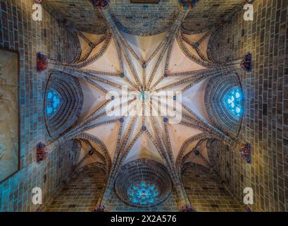 Vista de la cúpula estrellada de la Capilla del canto Cáliz en la Catedral de Valencia Foto Stock