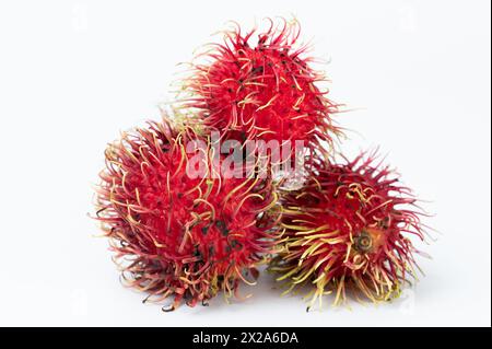 Primo piano di frutti rambutani di gruppo isolati su sfondo bianco studio Foto Stock