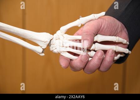 Saluto con Uno scheletro stringendo la mano - primo piano Foto Stock