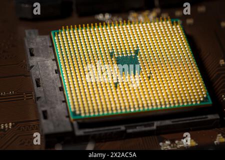 Vista inferiore del processore del computer con pin placcati oro Foto Stock