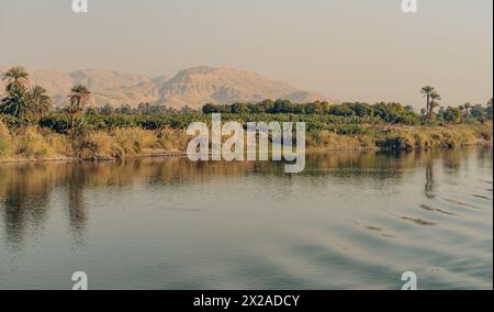 La riva del fiume Nilo è un'oasi di paesaggio in Egitto Foto Stock