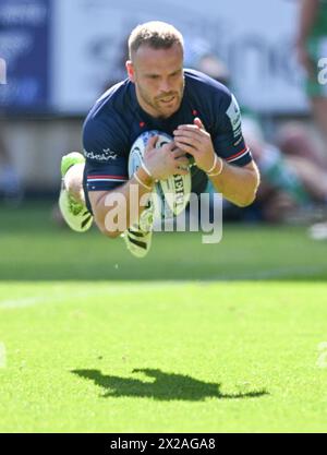 Ashton Gate, Bristol, Regno Unito. 21 aprile 2024. Gallagher Premiership Rugby, Bristol Bears contro Newcastle Falcons; James Williams dei Bristol Bears segna una meta al 28° minuto per il 26-7 Credit: Action Plus Sports/Alamy Live News Foto Stock