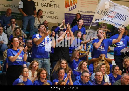 Mechelen, Belgio. 21 aprile 2024. Tifosi di Mechelen nella foto durante una partita di basket femminile tra Kangoeroes Mechelen e Royal Castors Braine, seconda partita della stagione 2023 - 2024 First National League Play off, domenica 24 aprile 2024 a Mechelen, Belgio . Crediti: Sportpix/Alamy Live News Foto Stock