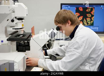 Analisi di campioni marcati fluorescenti, laboratorio di caratterizzazione, microscopio confocale, CIC nanoGUNE Centro di ricerca cooperativa Nanoscience, Donosti Foto Stock