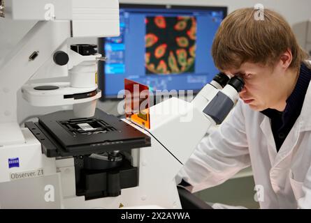 Analisi di campioni marcati fluorescenti, laboratorio di caratterizzazione, microscopio confocale, CIC nanoGUNE Centro di ricerca cooperativa Nanoscience, Donosti Foto Stock