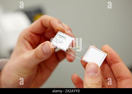 Campione per microscopio confocale, laboratorio di caratterizzazione, microscopio confocale, CIC nanoGUNE Nanoscience Cooperative Research Center, Donostia, Gipu Foto Stock