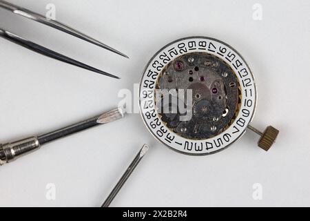 Un orologio, due cacciaviti e un paio di pinzette si trovano sul banco di lavoro bianco, una scena piena di precisione e meccanica fine. Foto Stock