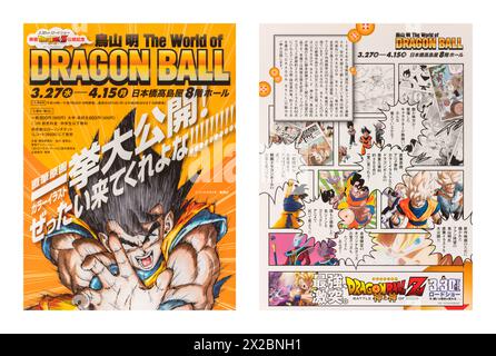 tokyo, giappone - marzo 27 2013: Volantino a doppia faccia della mostra "Akira Toriyama il mondo di DRAGONBALL" tenutasi per celebrare l'uscita dell'anime Foto Stock