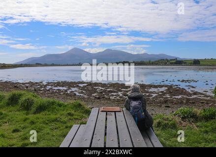 Vicino a Dundrum, Contea di Down, Irlanda del Nord, Regno Unito. 21 aprile 2024. Clima nel Regno Unito - un clima secco e luminoso con lunghi periodi di sole sulla costa della contea di Down. Una donna a un tavolo da picnic che guarda verso le montagne di Mourne in un soleggiato pomeriggio primaverile. Crediti: CAZIMB/Alamy Live News. Foto Stock