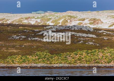 Yorke Bay, Port Stanley, Isole Falkland, Regno Unito Foto Stock