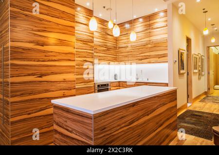 Armadi Gumwood e isola con ripiano in puro quarzo bianco in cucina con pavimenti in legno di acero e ciliegio all'interno di un lussuoso condominio rinnovato. Foto Stock