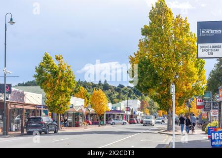 Centro città in autunno, Talbot Street, Geraldine, Canterbury Region, South Island, nuova Zelanda Foto Stock