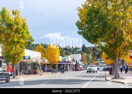 Centro città in autunno, Talbot Street, Geraldine, Canterbury Region, South Island, nuova Zelanda Foto Stock