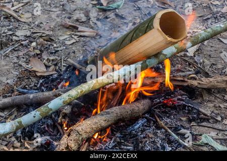 Zuppa preparata in bambù in una foresta vicino alla città di Luang Namtha, Laos Foto Stock