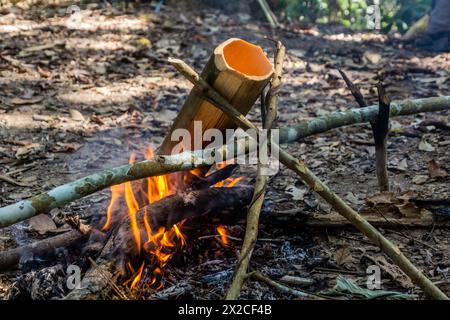 Zuppa preparata in bambù in una foresta vicino alla città di Luang Namtha, Laos Foto Stock