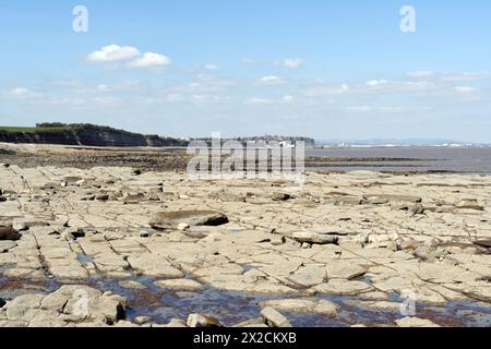 Costa a Lavernock Point, guardando verso Penarth Wales UK, costa del Galles, costa del Galles, costa del Galles zona intertidale della costa britannica Foto Stock