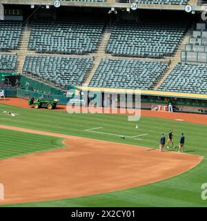 Preparazione del campo pre-partita dei Groundcrew al Ricky Henderson Field dell'Oakland Coliseum, sede della squadra di baseball della Major League di Oakland A; California. Foto Stock