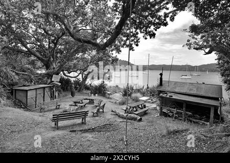 Smokehouse Bay Great Barrier Island Golfo di Hauraki nuova Zelanda Foto Stock