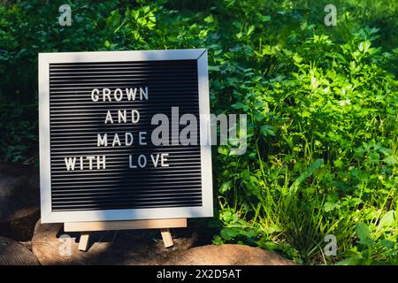 COLTIVATO E REALIZZATO CON il messaggio D'AMORE sullo sfondo di prezzemolo fresco alle erbe verdi coltivato in giardino. Concetto di produzione di cibo di campagna. Raccolta di prodotti locali. Sostenibilità e responsabilità Foto Stock