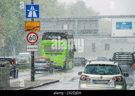 Wintereinbruch mit starkem Schneefall auf der Autobahn A95, München, 21. Aprile 2024 Deutschland, München, 21. Aprile 2024, Wintereinbruch, Autos fahren im Schneetreiben auf der Autobahn A 95 München-Garmisch, darunter ein Flixbus, Autobahnbeginn in München-Sendling, stadtauswärts, dicke Schneeflocken bei Temperaturen um die 2 Grad, schlechte Sicht, Glättegefahr, Winterwetter im Frühling, Verkehr, Aprilwetter, Schnee, Bayern, *** inizio dell'inverno con forti nevicate sull'autostrada A95, Monaco di Baviera, 21 aprile 2024 Germania, Monaco di Baviera, 21 aprile 2024, inizio dell'inverno, auto che guidano sulla A95 Mun Foto Stock