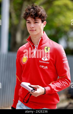 Shanghai, Cina. 19 aprile 2024. Oliver Bearman (GBR, Scuderia Ferrari), Gran Premio di F1 della Cina al Shanghai International Circuit il 19 aprile 2024 a Shanghai, Cina. (Foto di HOCH ZWEI) credito: dpa/Alamy Live News Foto Stock